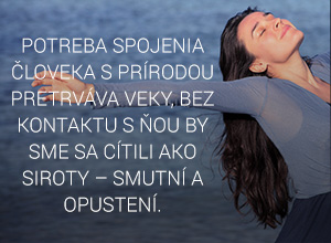 Brigit.sk
